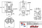 RUBY 050S-P-TST-T - насос пневматичний мембранний