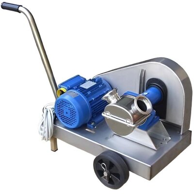 Impeller pump for pumping puree with berries LIVERANI GR MAXI 80 NR TF 1.5 kW, 600-300 rpm, 380V belt-driven with trolley