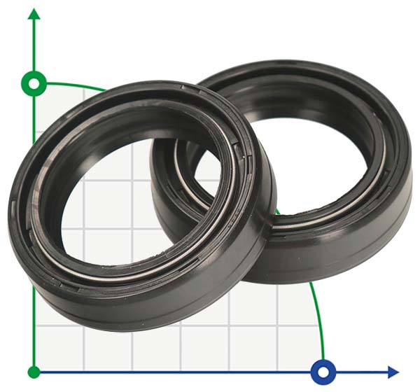 Oil Seal for BTKF-K 32-160