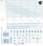 Bomba sumergible para agua de inundación Dreno AT 100/4/173 C.255 con impulsor monocanal