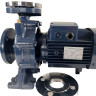 Monoblock centrifugal pump BST 32-250/5.5, 3000