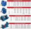 Pompa do transportu produktów petrochemicznych VANE PUMP YB-50 2" V-BELT DRIVE 300 l/min, 2,2 kW, 640 rpm, 380V, Ex