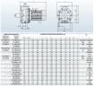 BZ 65-200/18,5 odśrodkowa pompa monoblokowa ze stali nierdzewnej