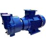 2BV2070 Wasserring-Vakuumpumpe