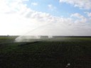 Sprinkler for irrigation JET40-NPT