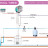 Перистальтический насос AQUA PDP SIMPOOL TIMER 1,4-01 - 230V - SANTOPRENE - WHITE