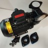 Вихревой масляный насос WM-033, 380V, -30°C+200°C