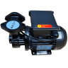 Вихревой масляный насос WM-033S, 220V, -30°C+200°C