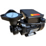 Вихревой масляный насос WM-033S, 220V, -30°C+200°C