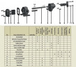 Zahnradpumpe für zähflüssige Produkte EMSE EDP 1030, DN80, 30 m3/h, 4 bar, 11 kW, 1000 U/min, C-Stahl, Ex, PLAN 01 API SEAL