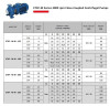 Pompe à eau monobloc ETKF-M 40-125, 5,5 kW, 3000
