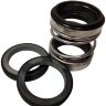 Sello mecánico doble R-208 16, SIC/SIC/SIC/SIC, VITON, 304, d7=30
