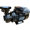 Вихревой масляный насос WM-10, 380V, -30°C+200°C