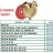 Корпус насоса ROVER POMPEBE-M 40-2003 код 480035