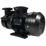 Вихревой масляный насос WM-20, 380V, -30°C+200°C