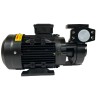 Вихревой масляный насос WM-20, 380V, -30°C+200°C