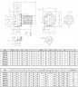 Pompe en acier inoxydable pour systèmes de climatisation NX50/2000 (200), 15 kW, 72 m3/h, 72 m, 380 V/T, AISI 304 (EBARA 3M 50-200/15)