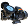 Вихревой масляный насос WM-30, 380V, -30°C+200°C