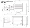 Stainless steel gear pump for pumping chemical liquids WCB-50/380V 50Hz, 50 l/min, 30 m, AISI 304, 0.55 kW, 2900 rpm, Ex