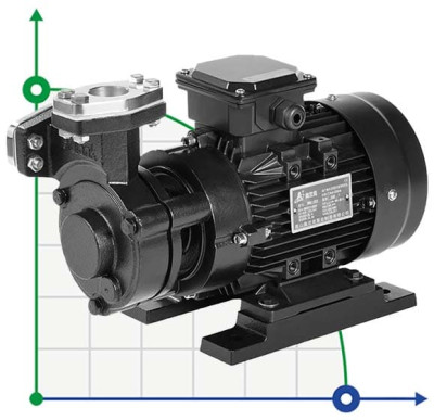 Pompe à huile vortex WM-30N, 380V -30°C+200°C