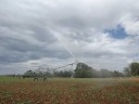 Sprinkler for irrigation JET65T