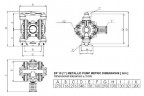 DP 10 AL/V - Pneumatic Membrane Pump