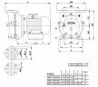 GMVP 200/085 monoblock vacuum pump