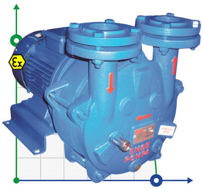 Pompe à vide pour bioéthanol ESV 220/90, 195 m3/h, 5,5 kW, 1450 tr/min, Ex