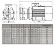 Bomba de vacío de anillo de agua ESV 150/50, 110 m3/h, 3 kW, 3000 rpm
