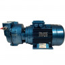 Bomba de vacío de anillo de agua ESV 150/50, 110 m3/h, 3 kW, 3000 rpm