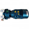 Bomba de vacío de anillo de agua ESV 150/50, 110 m3/h, 3 kW, 3000 rpm
