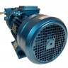 Bomba de vacío de anillo de agua ESV 150/50, 110 m3/h, 3 kW, 3000 rpm