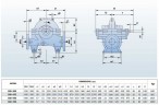 BSC4 300-560A/B, (1500) - насос двустороннего входа
