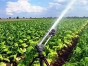 Sprinkler for irrigation PIVOTJET-NPT