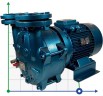 Wasserring-Vakuumpumpe ESV 210/80, 145 m3/h, 4,0 kW, 1450 U/min
