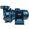 Wasserring-Vakuumpumpe ESV 210/80, 145 m3/h, 4,0 kW, 1450 U/min