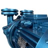 Wasserring-Vakuumpumpe ESV 210/80, 145 m3/h, 4,0 kW, 1450 U/min