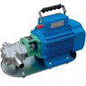 Pompa zębata ze stali nierdzewnej do oleju silnikowego WCB-100/220V 50Hz, 50 l/min, 30 m, AISI 304, 1,1 kW, 1400 obr./min, Ex