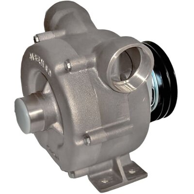 Flüssigkeitsringpumpe zum Pumpen von Säften und Sirupen LIVERANI NAUTIC 70 Inox FM 24V, 500 l/min, AISI 316, ohne Motor