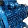 Vacuum water ring pump ESV 220/90, 195 m3/h, 5.5 kW, 1450 rpm