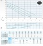 Канализационный погружной насос Dreno BIC EVO 50-2/150 T/G с двухканальным рабочим колесом