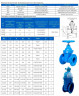 DN200 PN16 Засувка з обгумованим клином 30ч39р чавунний корпус, seal:EPDM, ГОСТ