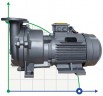 2BV5111, AISI 316 вакуумный насос для агрессивных газов