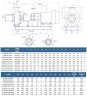 Pumping unit for pumping out dirty water 2CM 150-125-315/4a, 30 kW, 1500 rpm