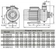 Pompa stal nierdzewna DWO B250/07, 380V/50Hz, INOX do mycia warzyw i owoców