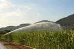 Sprinkler for irrigation RED ATOM40-NPT