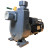 Насос для грязной воды BXZm W15-25-1,5kW, 2900, 220V самовсасывающий