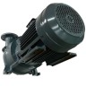 Вакуумный насос 2BV5121 (AISI 316)