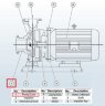 Corps de pompe BGWH 80-200A AISI304