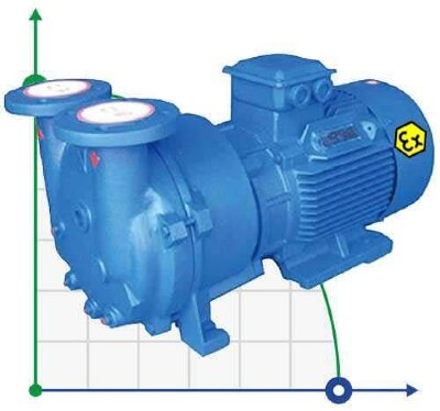 2BV5131 Ex вакуумный насос взрывозащищенный